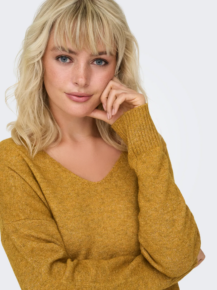 ONLErica Life LS V-neck